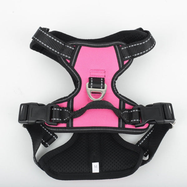 Harnais confort + laisse chien - Valeor