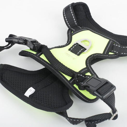 Harnais confort + laisse chien - Valeor