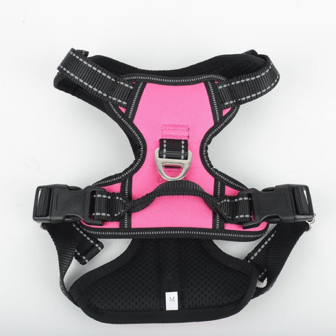 Harnais confort + laisse chien - Valeor