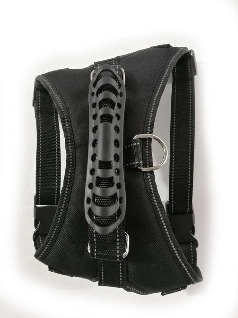 Harnais de sécurité - Valeor